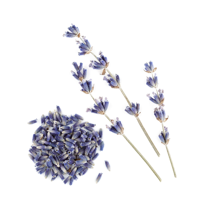 Sauna Infusion Bags – 100% Natural Aromatherapy